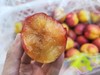 【预售】珠宝李/太阳李 肉质松脆爽口，一口下去汁水丰盈，满满的李子清香。 商品缩略图1