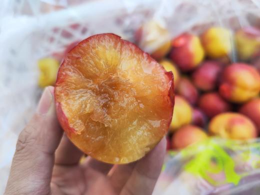 【预售】珠宝李/太阳李 肉质松脆爽口，一口下去汁水丰盈，满满的李子清香。 商品图1