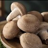 【ZCWJ】  鲜香菇 新鲜香菇肉厚味美个头均匀现摘新鲜蔬菜 商品缩略图0