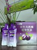 黄金搭档益生元植物西梅饮品 商品缩略图2