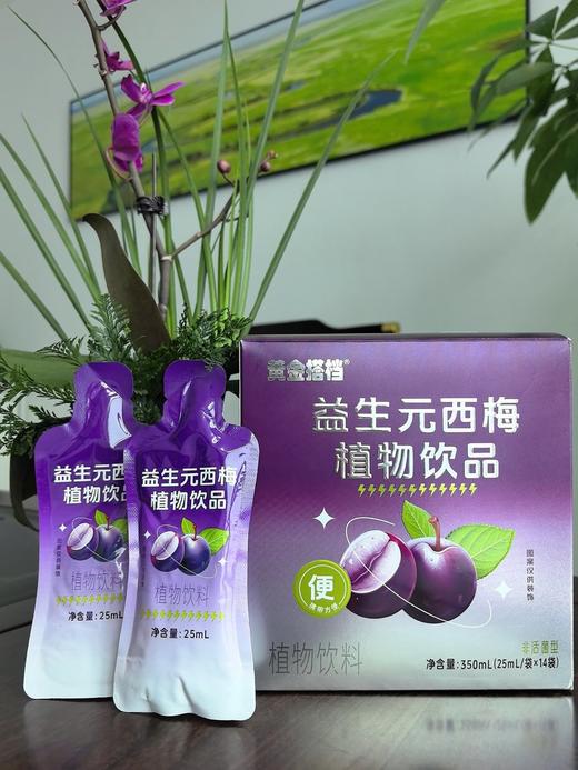 黄金搭档益生元植物西梅饮品 商品图2