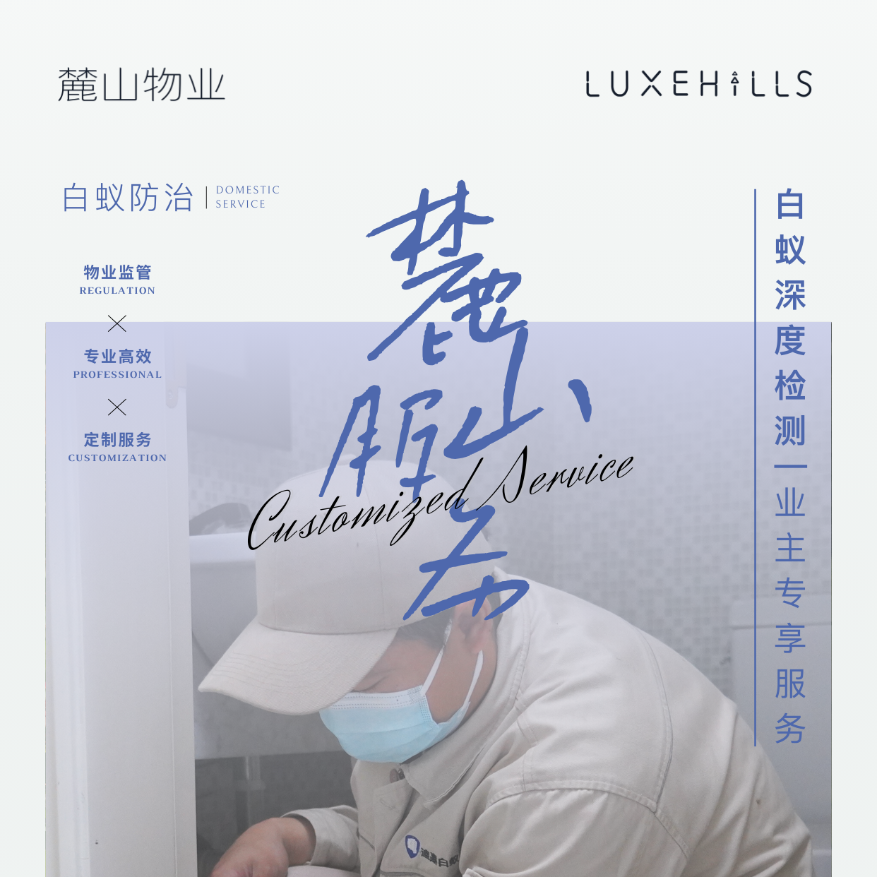 【业主专享】白蚁危害大！ 1元占位 免费上门探测！把危害遏制在萌发初始