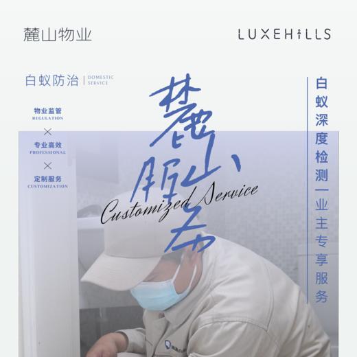 【业主专享】白蚁危害大！ 1元占位 免费上门探测！把危害遏制在萌发初始 商品图0