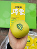 【王掌柜瑞雪苹果】口感优于王林苹果，超好吃 商品缩略图1