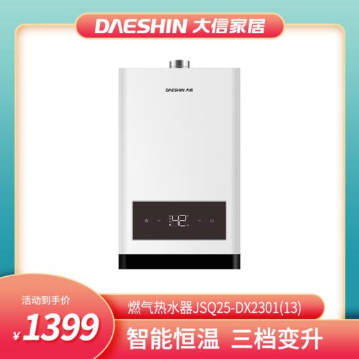 新品首发/大信燃气热水器 JSQ25-DX2301(13) 商品图0