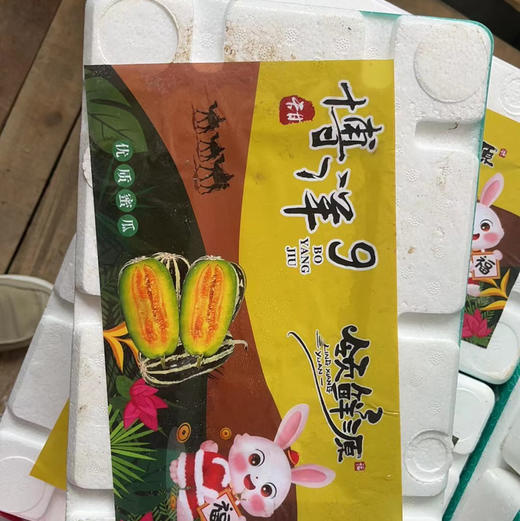 【博洋芸蜜玲珑酥瓜系列】酥甜爽口，原生态栽培！高颜值，口感赞，瘦身达人推荐好伴侣 商品图4