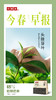 小罐茶2026早春绿茶头拔芽叶大袋装80g茶叶自己喝实惠装 商品缩略图9