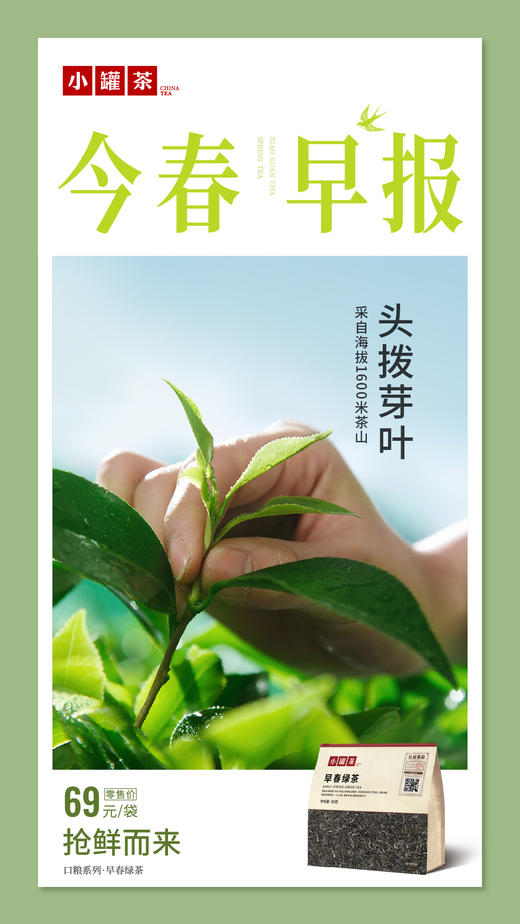 小罐茶2026早春绿茶头拔芽叶大袋装80g茶叶自己喝实惠装 商品图9