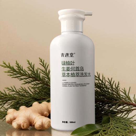 碌柚叶生姜何首乌草本植萃洗发水【秒杀】 轻盈秀发油头挚爱 柚子叶洗发露500ml/瓶【送洗头梳-不叠加其他活动】 商品图0
