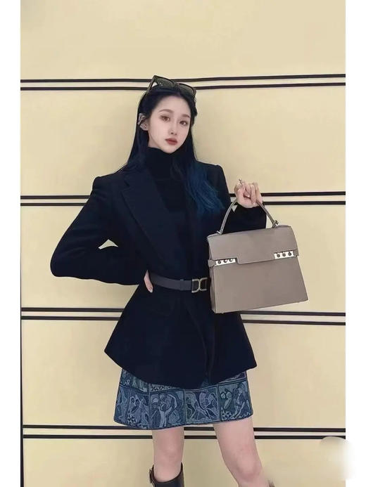 德尔沃 Tempete 中号 大象灰 银扣 牛皮 手提包 商品图3