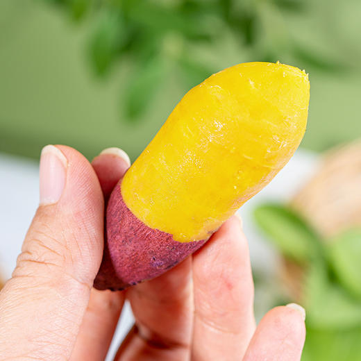 【河南好物】小香薯  4.5斤/9斤 商品图8