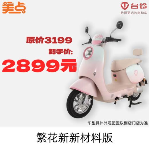 美点-台铃-繁花新新材料版 商品图0