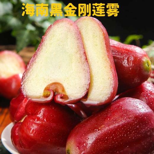 黑金刚莲雾【ABDY】 商品图1