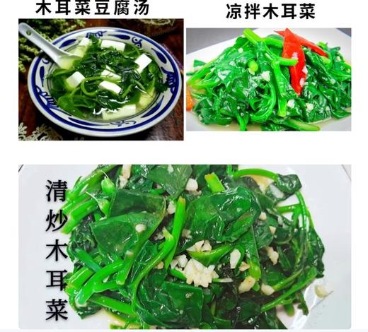 【YC】新鲜当季木耳菜 商品图1