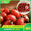 【山城水都水果小番茄】￥39.9元5斤，多种口味的小番茄新鲜上市，满足您的味蕾幻想！韶关浈江区、武江区、乳源县城免费配送，每周六日不定期配送上门（售完即止） 商品缩略图0