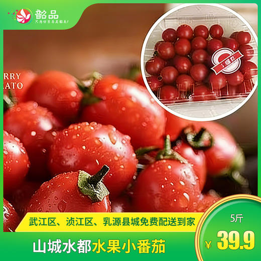 【山城水都水果小番茄】￥39.9元5斤，多种口味的小番茄新鲜上市，满足您的味蕾幻想！韶关浈江区、武江区、乳源县城免费配送，每周六日不定期配送上门（售完即止） 商品图0