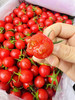 超好吃小红帽千禧小番茄 商品缩略图8
