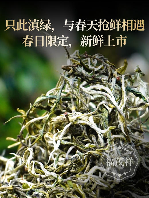 2026云南早春绿茶 【只此青绿】高山茶园鲜嫩爽口 云南普洱滇绿绿茶散茶 罐装160g/罐 商品图1