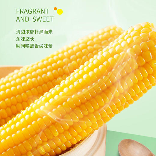 「4斤装！黄糯玉米」北大荒玉米东北糯玉米 整箱发货 真空香糯粮油米面 商品图3