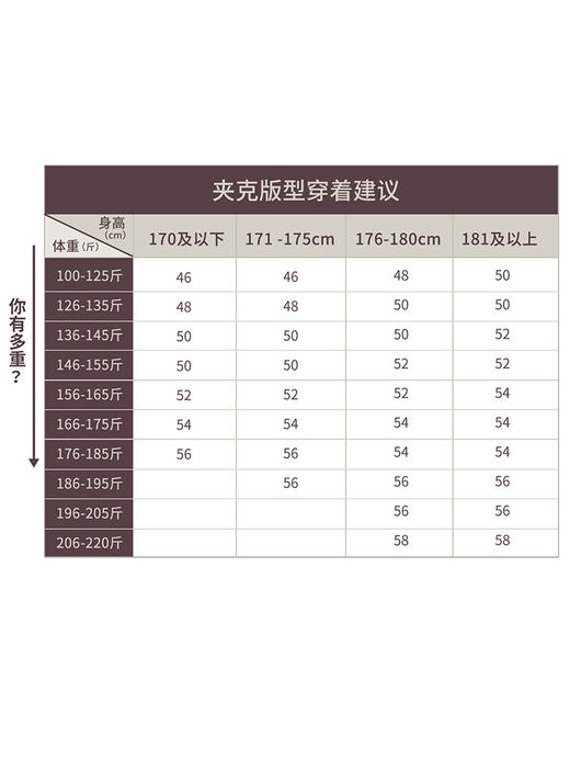 轻薄锦氨立领夹克261X7J538N[门店专款] 商品图1
