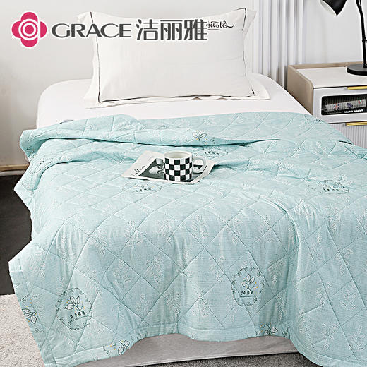 洁丽雅（Grace)春忆彩.艾草亲柔夏被 商品图4
