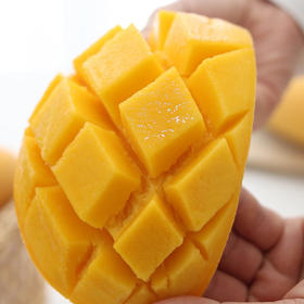 海南金煌芒 果肉金黄 细腻少渣 香气怡人 入口满满幸福感