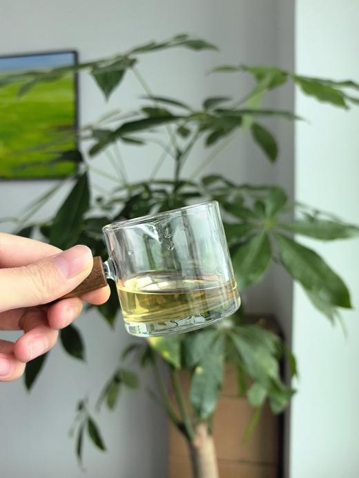 黄金搭档益生元植物西梅饮品 商品图7