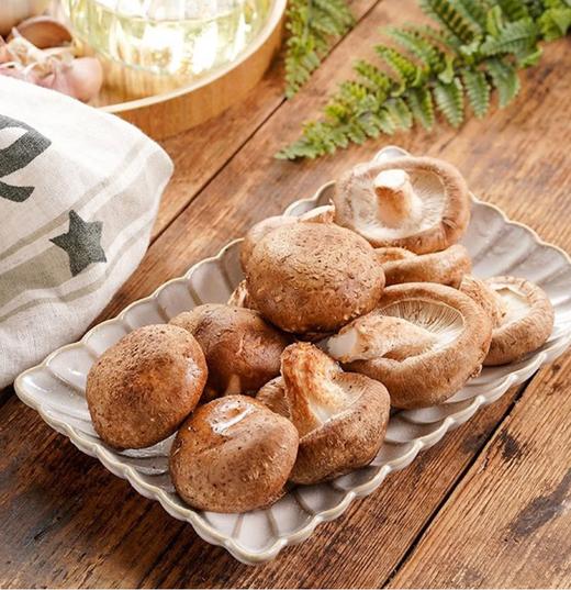 【YC】新鲜香菇 商品图1