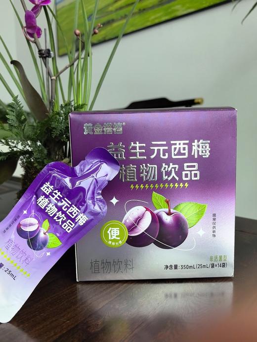 黄金搭档益生元植物西梅饮品 商品图6