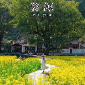 【春赏油菜花】江西婺源国际大酒店踏青旅居￥449起单人2晚/3晚，2人起订，黛瓦粉墙隐入金黄花海，赴一场村落炊烟的春日盛宴！
