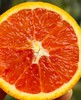 国产血橙|口感酸甜适中，汁水超丰富，直接吃或榨汁都很赞✨👍多吃橙补充维生素C~ 商品缩略图3
