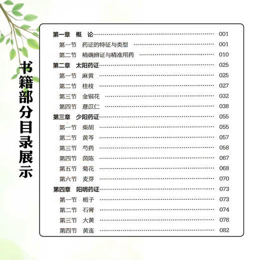 中药药证学 吴雄志 著 对临床精准用药有显著的指导作用 详细讲述了每一经代表药物的特征性药证 9787559136268辽宁科学技术出版社 商品图3