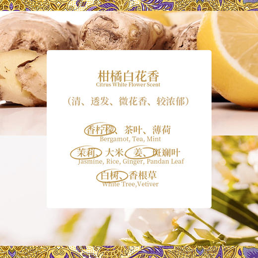 JEBILLY若伯利 婆罗沉香/苏门答腊广藿/爪哇雨林/娘惹黄姜/龙目珍珠香水30ml 商品图10