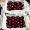 大连美早樱桃国产车厘子顺丰包邮 商品缩略图1
