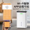 【大面积适用】Bestherm百斯腾全屋循环强排净化除湿一体机C5 商品缩略图3