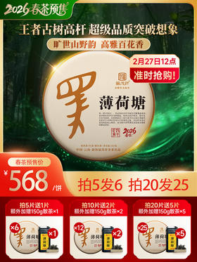 2026年春茶【薄荷塘】古树茶，易武茶区薄荷塘古茶园核心茶地纯料古树茶357克普洱生茶