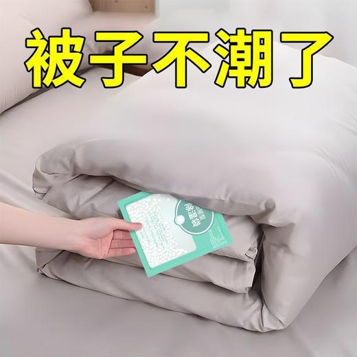 【秒杀❗️9.9抢10袋🔥家用除湿袋】大容量，更除湿，物理吸湿防潮更放心！日式吸湿干燥剂回南天神器除湿袋室内家用L 商品图1
