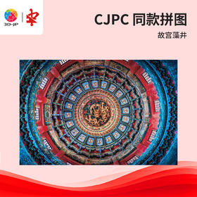 504片 平面塑料拼图 U1181 故宫藻井【Showpiece L】