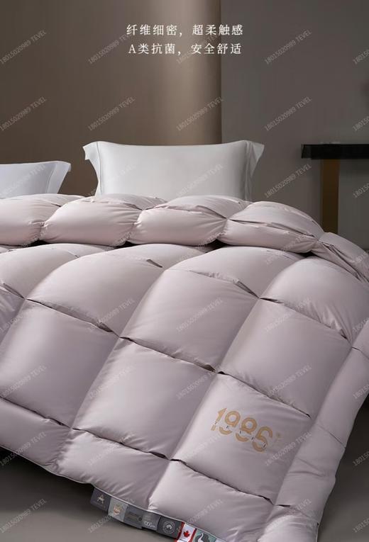 6F堂皇  典藏1986加拿大95白鹅绒春秋被 / 冬被 商品图3