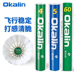 威健 羽毛球 澳加林 AC-4/AC-5/AC-60