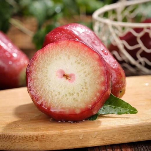 黑金刚莲雾【ABDY】 商品图2