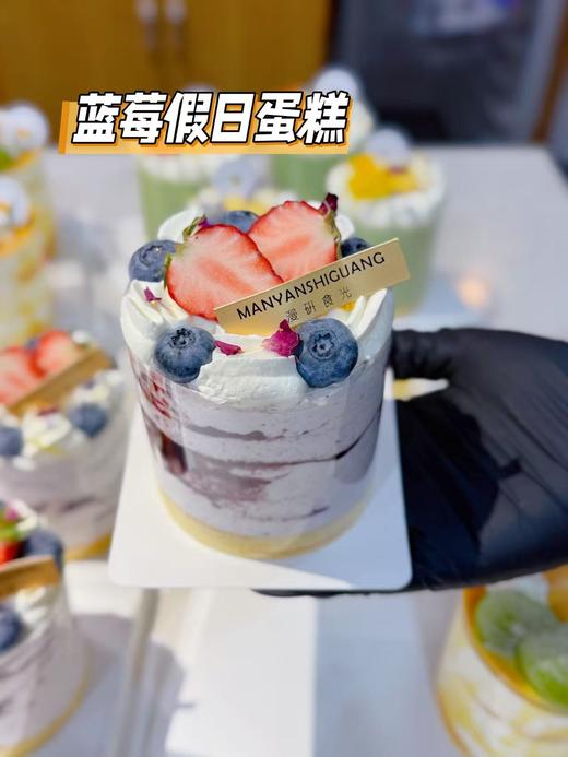 蓝莓假日蛋糕 商品图0
