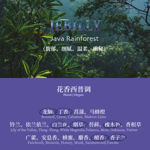 JEBILLY若伯利 婆罗沉香/苏门答腊广藿/爪哇雨林/娘惹黄姜/龙目珍珠香水30ml 商品图7