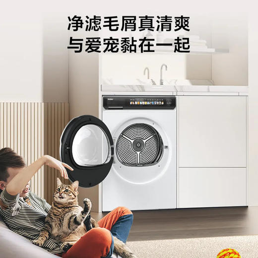 海尔（Haier）干衣机 EHG100176PROW 商品图6