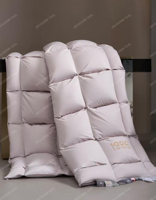 6F堂皇  典藏1986加拿大95白鹅绒春秋被 / 冬被 商品图1