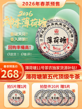 【2026年春茶预售】《神茶薄荷塘》近年来无①差评，无①退货，好评樶多，回购樶高，云茶盟主标杆主力茶！绝对不允许错过！200g/片！