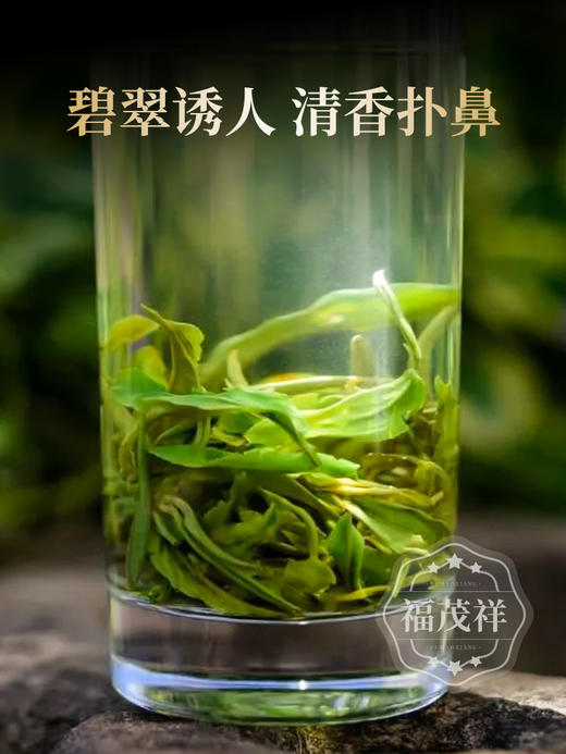 2026云南早春绿茶 【只此青绿】高山茶园鲜嫩爽口 云南普洱滇绿绿茶散茶 罐装160g/罐 商品图4