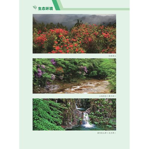 浙江乌岩岭国家级自然保护区综合科学考察与研究/国家自然保护地生物多样性丛书/雷祖培 刘宝权 刘西 主编/浙江大学出版社 商品图3