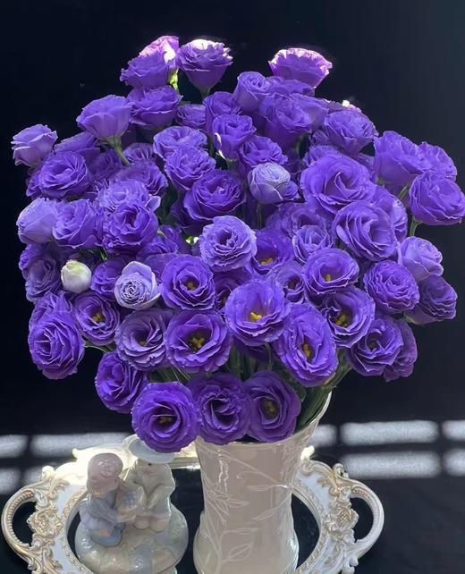 深紫色洋桔梗800克 商品图0