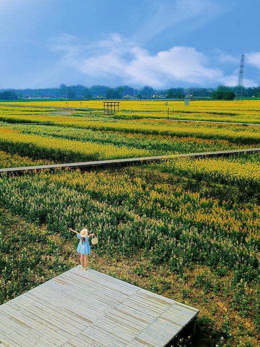 【春日出游·6折享】¥1480起住4房/5房/6房别墅！春日踏青徒步，平时周末通用！邛崃112号院，设计师精品民宿，千亩油菜花田，dx 商品图8